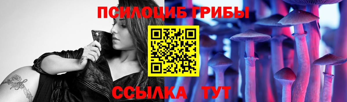 Полевской  Галлюциногенные грибы мицелий  Вход с VPN  Галлюциногенные грибы GOLDEN TEACHER 